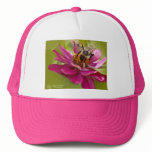 Bee In The Zinnias