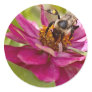 Bee In The Zinnias