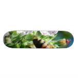 Bee Insect Skate Deck