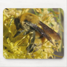 Bee Mousepad