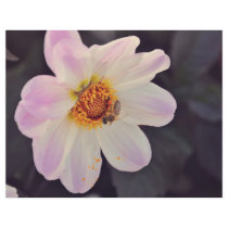 Bee on a purple flower full color flyer