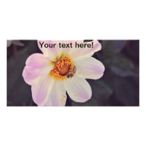 Bee on a purple flower photo cards