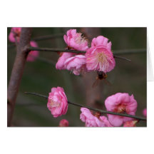 Bee on a Spring Bloom Card
