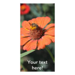 Bee on an orange flower personalized photo card