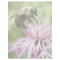 Bee On Bachelor Button Letterhead