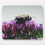 Bee on Butterfly Bush Mouse Pad