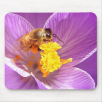 Bee on Crocus ~ mousepad