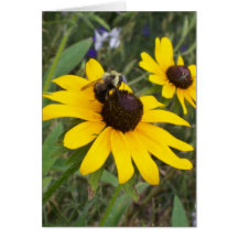 bee on flower greeting card