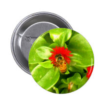 Bee on Flower Pinback Button