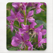 Bee Pollenating Fireweed Blossoms, Unalaska Island Mouse Pad