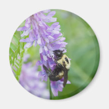 bee suite fridge magnet