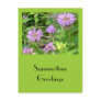BeeBalm & Bumblebee Post Cards