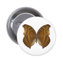 BeechWing Butterfly buttons
