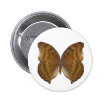 BeechWing Butterfly buttons