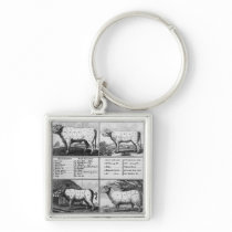 Beef, Veal, Pork, and Mutton Cuts, 1802 Key Chains