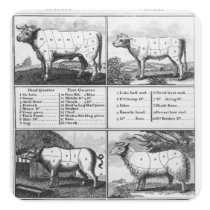 Beef, Veal, Pork, and Mutton Cuts, 1802 Square Stickers