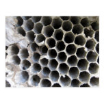 BeeHive 01 Postcards
