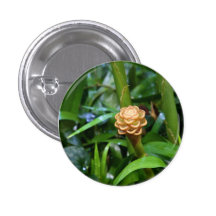 Beehive Ginger Button