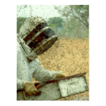 Beekeepers Post Card
