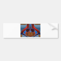 BEER GOGGLES BUMPER STICKER