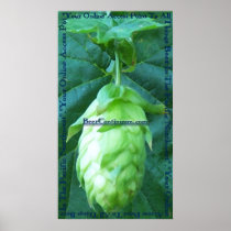 BeerContinuum poster