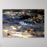 Beersheba Springs Poster