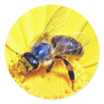 Bees Flowers Insects Round Stickers