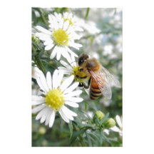 Bees Honey Bee Wildflowers Flowers Daisies Photo Stationery Design