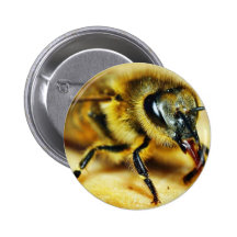 Bees Insects Button