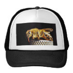 Bees Insects Marco Trucker Hats