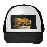 Bees Insects Wings Insects Bugs Trucker Hats