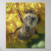bees love yellow...[watercolour] print