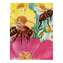 bees make honey postcards