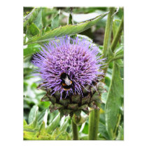 BEES