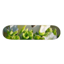 Bees Pollenating Basil Skate Boards