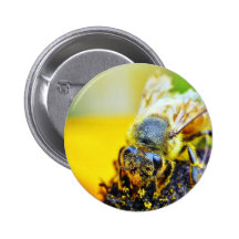 Bees Pollenating Insects Bugs Pins