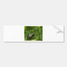 Beetle Buddie Bumper Stickers