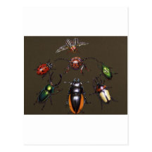 Beetle Circle of Fantasy Post Cards