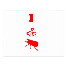 Beetle Postcard