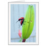 beetlelove greeting card