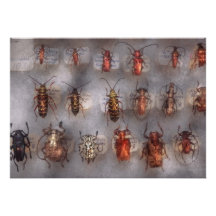 Beetles - The usual suspects Personalized Invitation