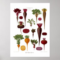 Beets Print
