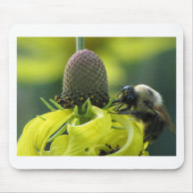 Beeuatiful Mouse Pads