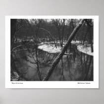 Before the Ice Comes Posters