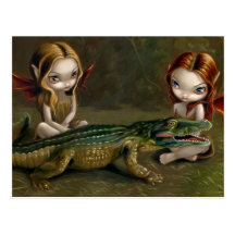 "Befriending an Alligator" Postcard
