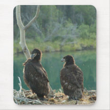 BEG Bald Eagle Grooming Mouse Pads