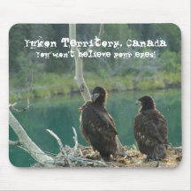 BEG Bald Eagle Grooming Mouse Pads