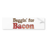 Beggin' for Bacon Bumper Stickers