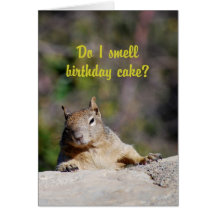 Begging Squirrel Happy Birthday Greeting Cards