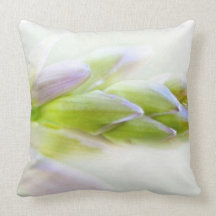Beginnings  Pillow